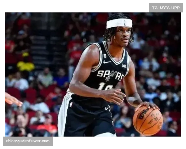 阿利兹·约翰逊发展联盟数据亮眼,深圳盼其提升球队篮板与策应 阿利兹·约翰逊发展联盟数据亮眼,深圳盼其提升球队篮板与策应